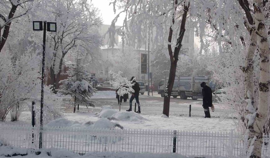 Kırağı sonrası görsel şölen oluştu