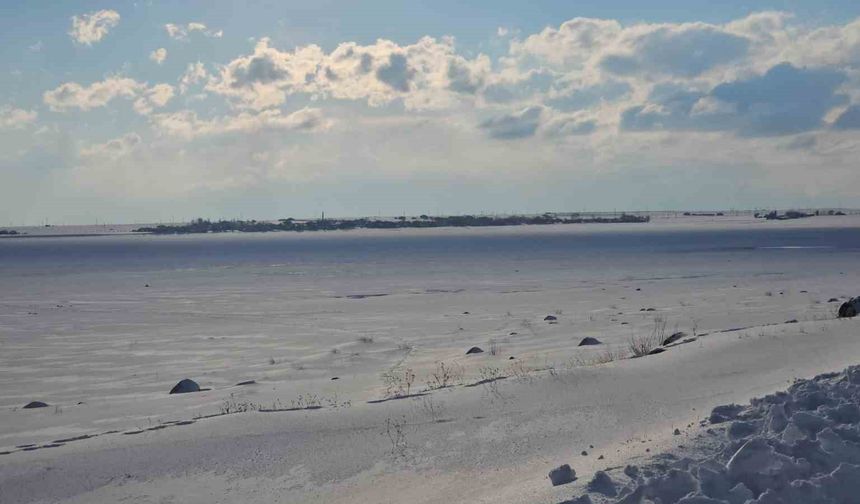 'Kuş cenneti' Arin Gölü tamamen dondu