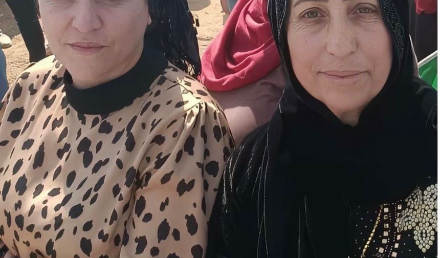 Mardin'de iki kardeşin evde ölü bulunmasına ilişkin 1 şahıs tutuklandı