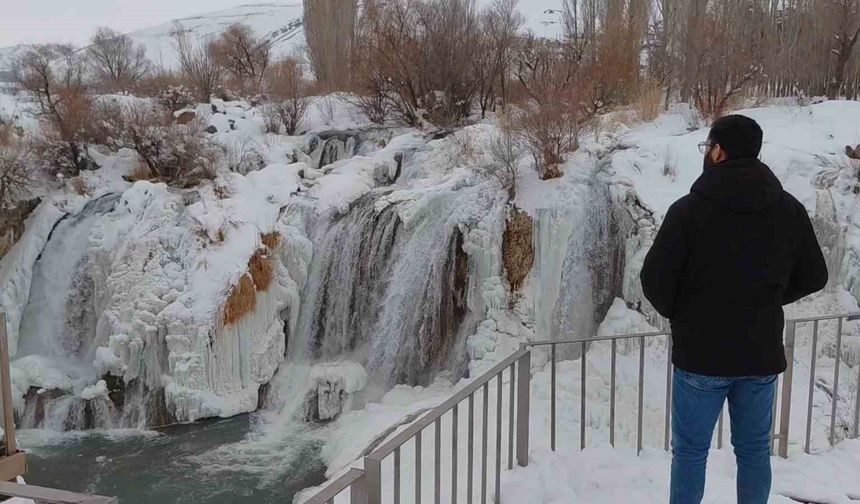 Muradiye Şelalesi eksi 12 derecede buz tuttu