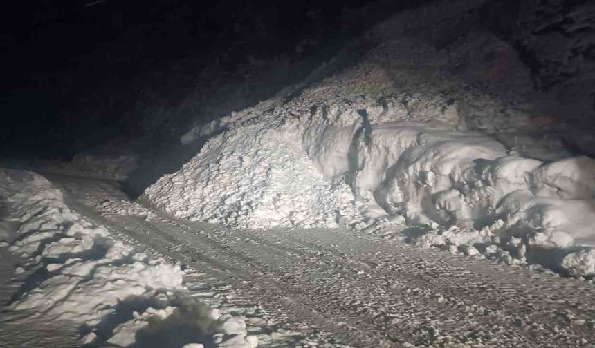 Şırnak yoluna çığ düştü, karayolu 2 saat ulaşıma kapandı