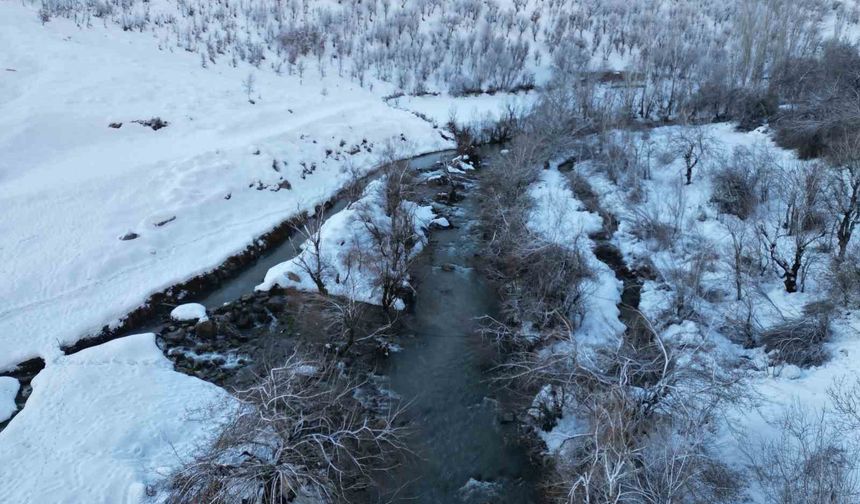 Şırnak'ta dereler buz tuttu