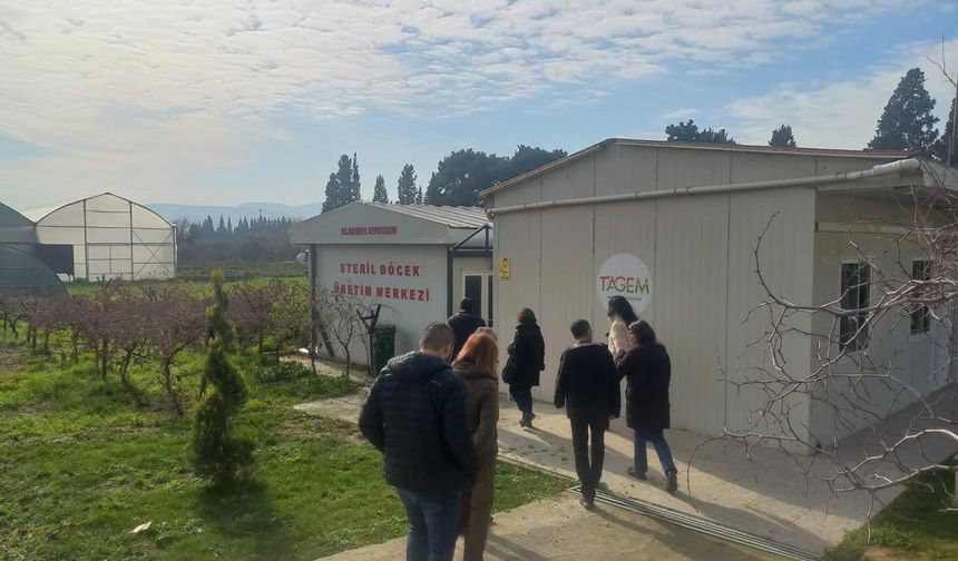 Tarım zararlılarıyla mücadelede 2026 yılı yol haritasının çizildi