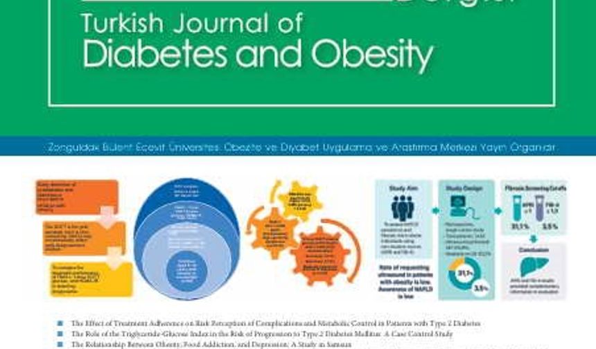 Türkiye Diyabet ve Obezite Dergisi'nin 2025 Aralık sayısı yayımlandı