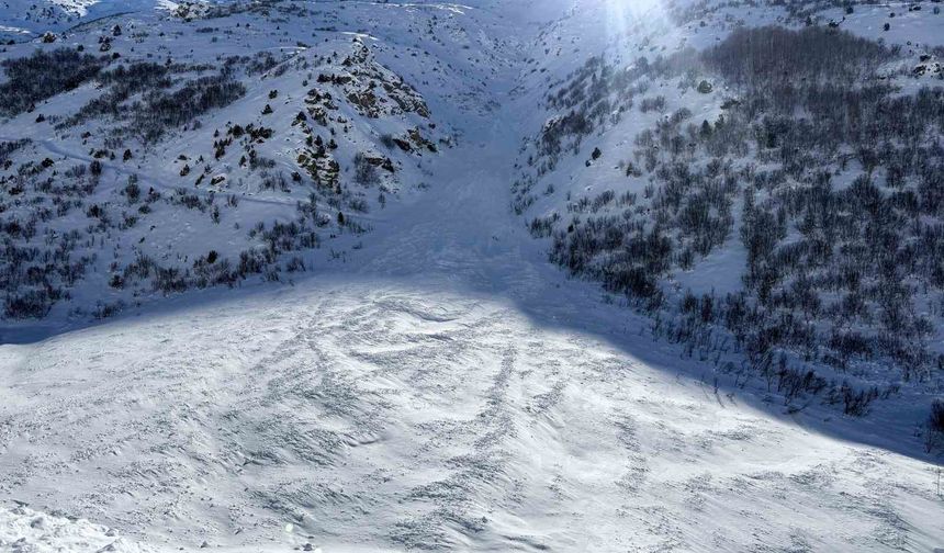 Van-Çatak yolu çığ düşmeleri nedeniyle 4 gündür ulaşıma kapalı