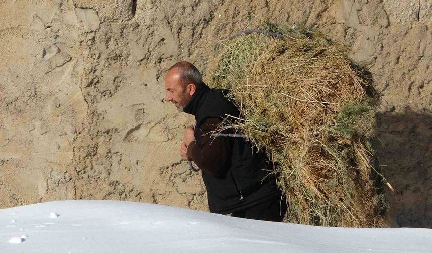 Van'da besicilerin zorlu kış mesaisi