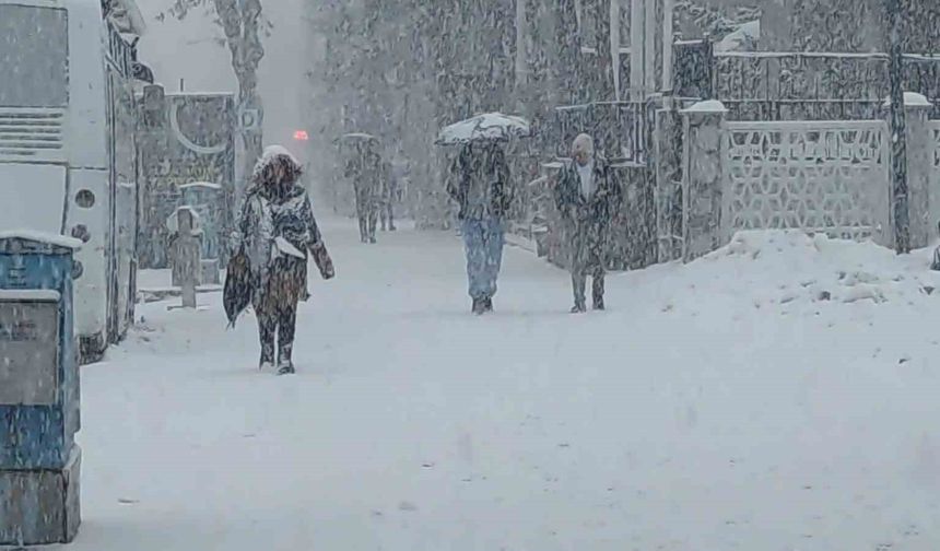 Van'da lapa lapa kar yağdı: 405 yerleşim yerinin yolu kapalı