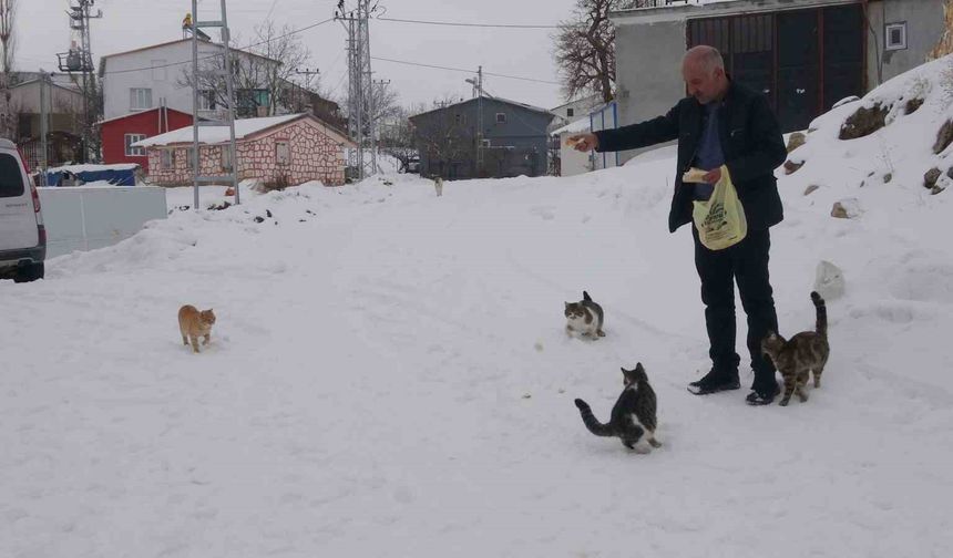 Yaklaşık 2 bin nüfuslu köyde kışın sadece bir aile yaşıyor