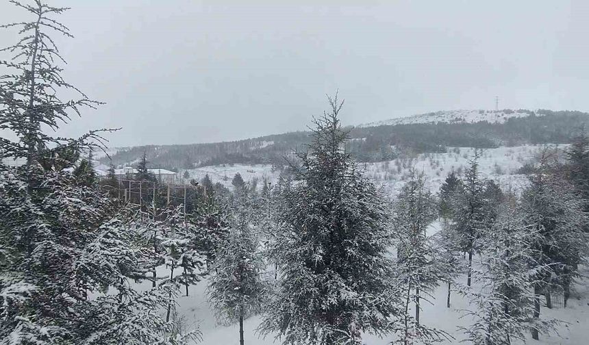 Yozgat beyaza büründü