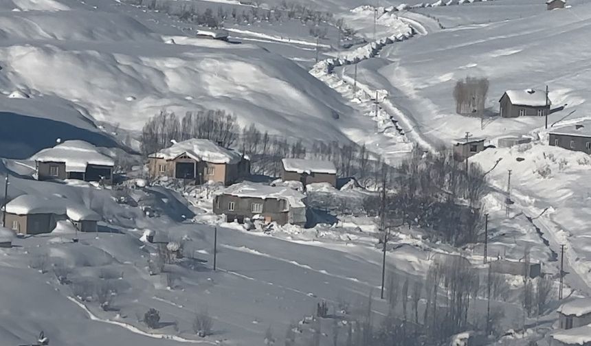 Yüksekova'da çiftçilere 'kurt saldırısı' uyarısı