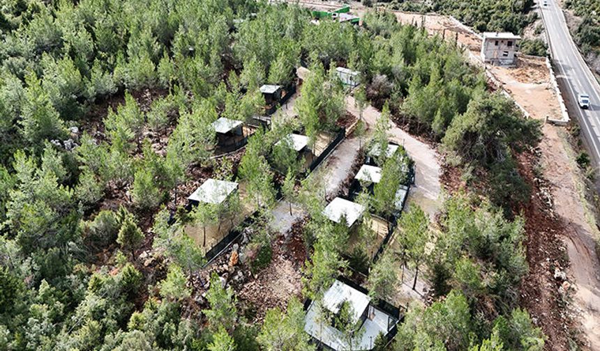 Toroslar Belediye Başkanı Yıldız’dan, sokak hayvanları için kritik uyarı