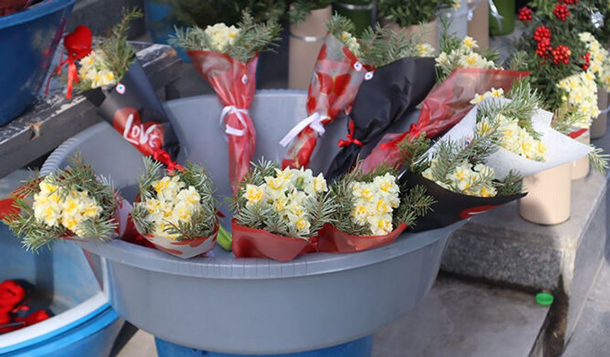 Bahar çiçeği olan nergis, Mersin’de kışın da ilgi görüyor