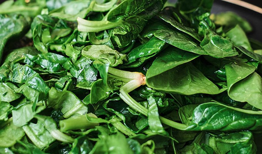 Ispanak cep yakıyor: Kilosu 30 TL