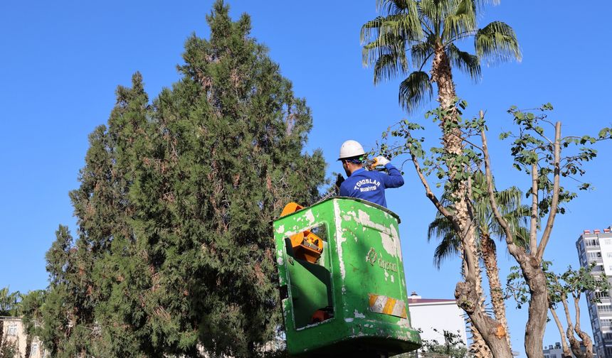 Toroslar’da kış bakımı sürüyor
