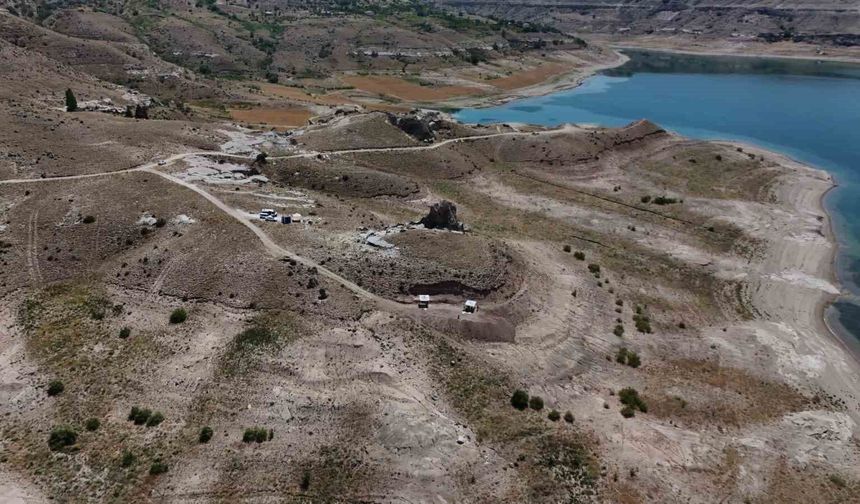 7,7 milyon yıllık tarihe ışık tutan Taşhan'da daha sonraki dönemlerde yaşayan türlerin fosilleri bulundu