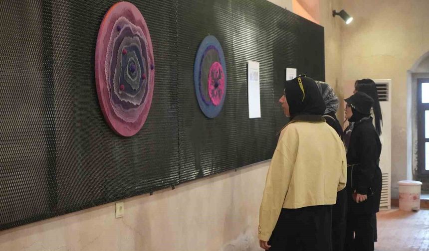 Bakteriler, sanatın ilham kaynağı oldu