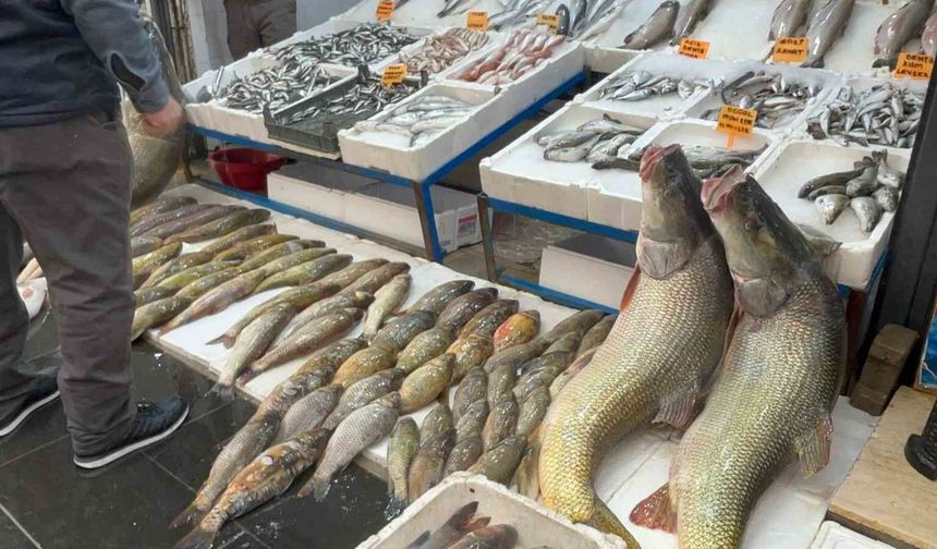 Batman'da 120 kiloluk dev turna balığı görenleri hayrete düşürdü