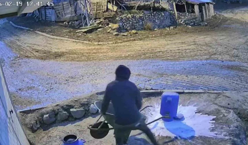 Bir bidon sütü deviren gencin çaresiz anları kamerada