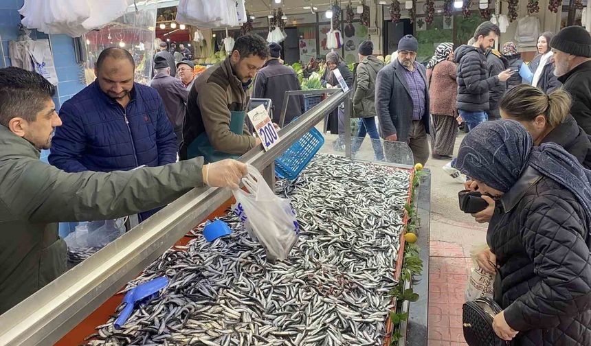 Bolu'da hamsi bolluğu sürüyor: Kilosu 200 liradan rağbet gördü
