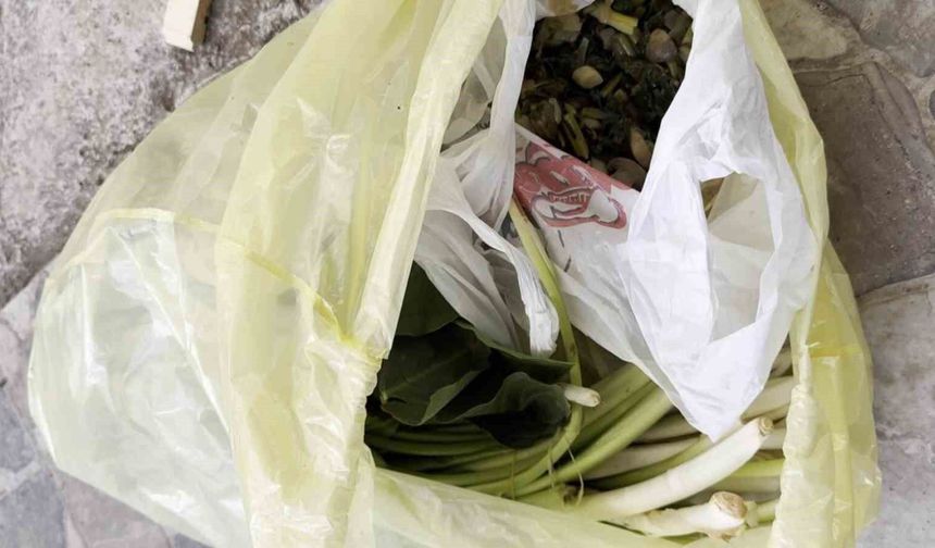 Doktor çiftin zor anları, ağzına alır almaz fenalaştı: 'Pazı olarak aldığım ot, tirşik otu çıktı'