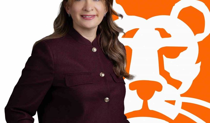 ING Türkiye'de üst düzey atama