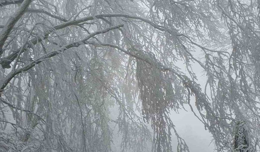 Kırklareli'nin yüksek kesimleri beyaza büründü