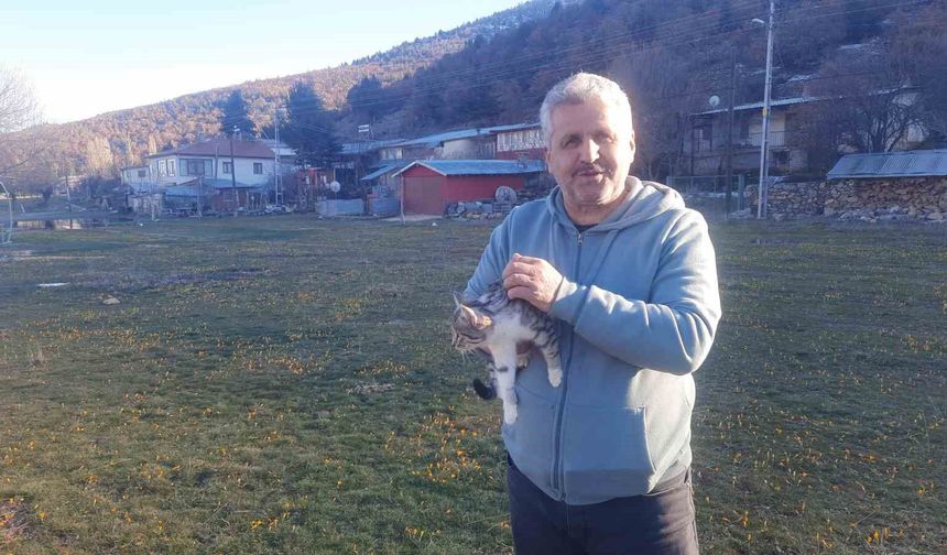 Konya'da aç kalan kediler için 30 kilometre yol gitti