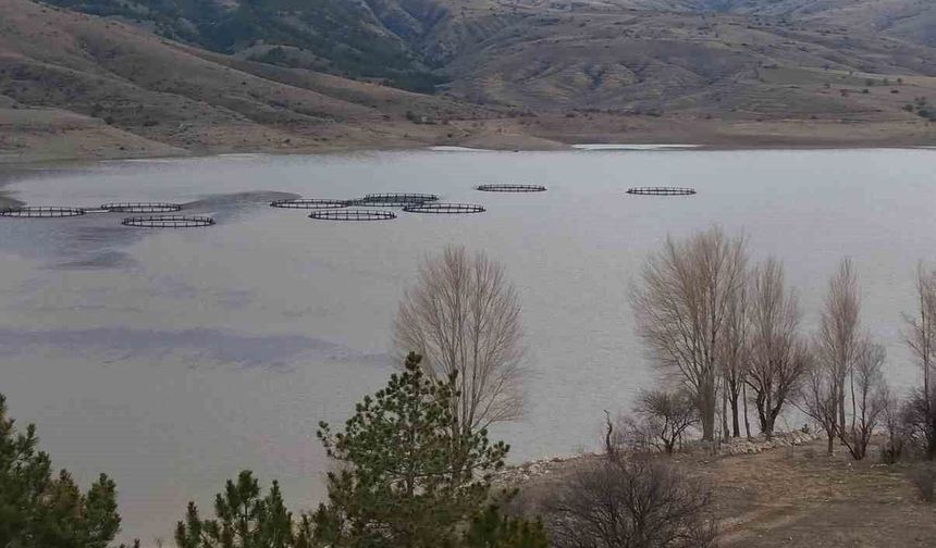 Kurumaya yüz tutan barajda doluluk oranı yüzde 50 seviyelerine yaklaştı