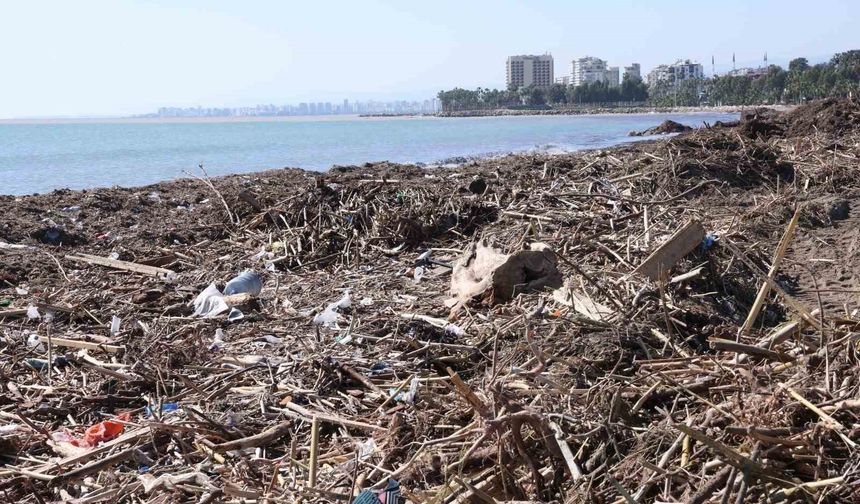 Mersin sahillerinde selin denize taşıdığı balçıklar temizleniyor