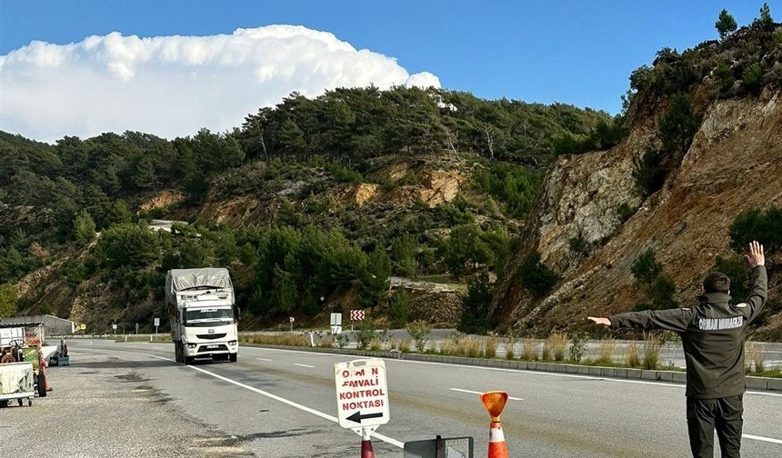 Mersin'de orman suçlarına eş zamanlı denetim