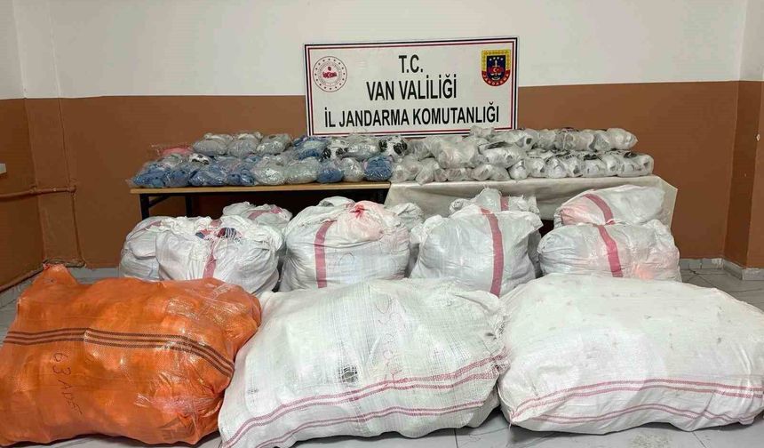 Van'da gümrük kaçakçılığı operasyonu