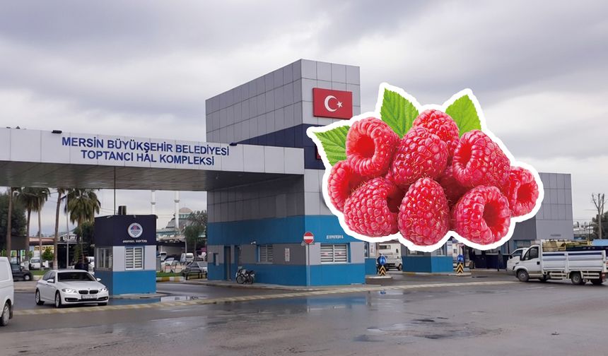 Mersin’de bu meyve kilosu 2 bin 680 TL’ye satılıyor