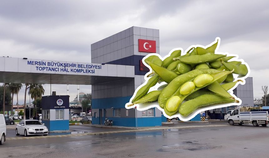 Lezzetli ve faydalı ama fiyatı cep yakıyor