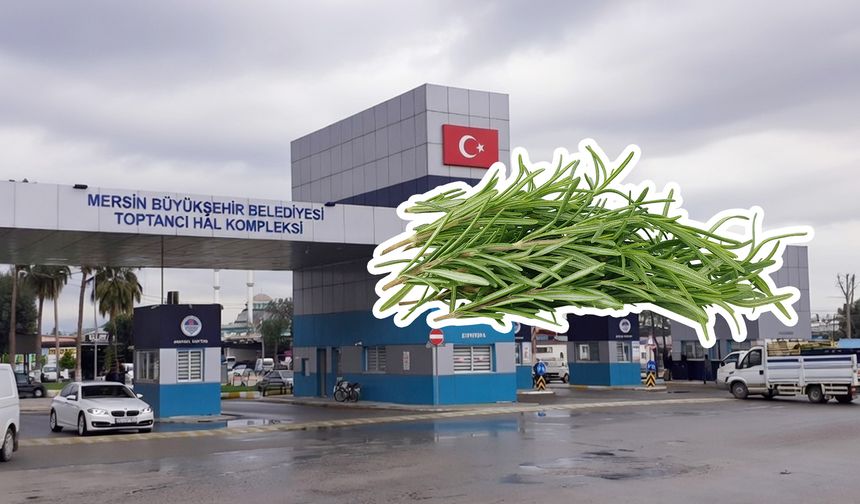 Mersin Hali’nde biberiyenin kilosu 70 TL