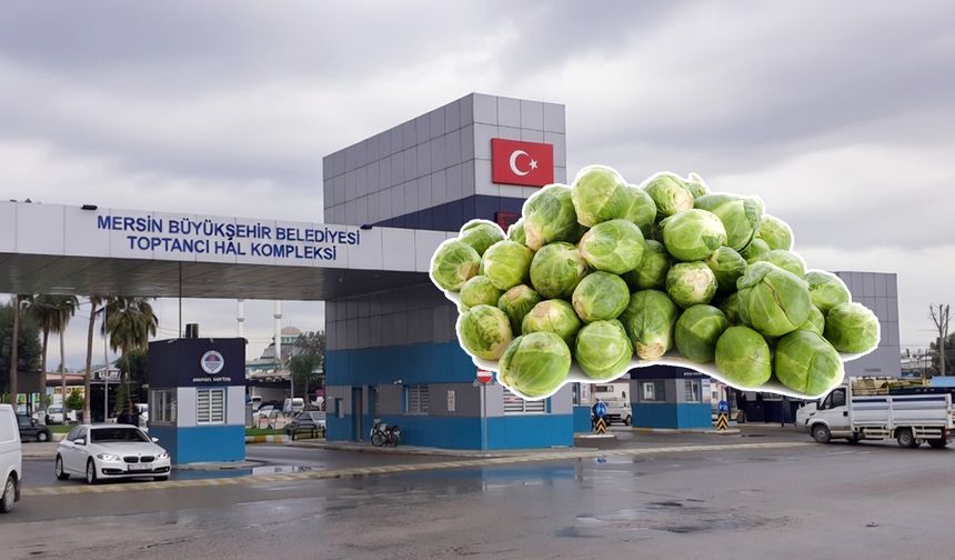 Mersin Hali’nde Brüksel lahanasının kilosu 120 TL