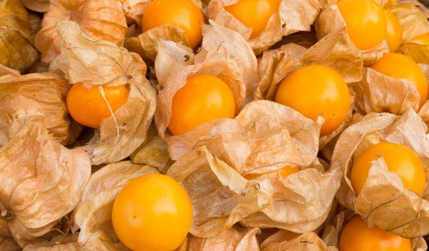 Gençlik meyvesi Mersin Hali’nde kilosu bin 150 TL’ye satılıyor