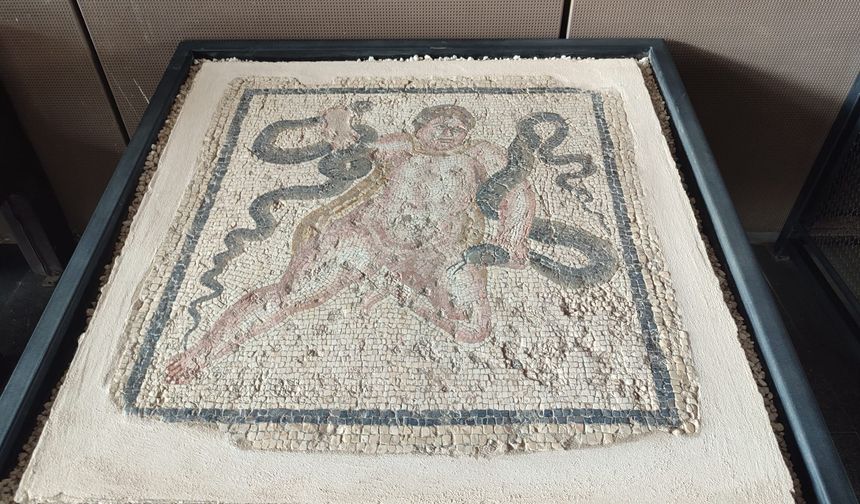 Herakles’in Yılanlar ile Mücadelesi Mozaiği’ne büyük ilgi
