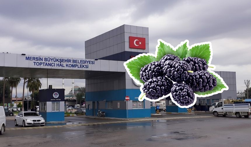 Mersin Hali’nde karadutun kilosu 140 TL’ye satılıyor