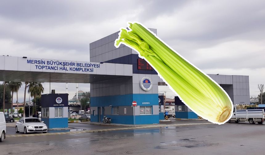 Mersin Hali’nde kilosu 90 TL’ye satılıyor: Kereviz sapı