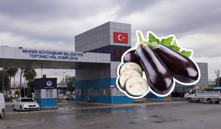Mersin Hali’nde patlıcanın kilosu 115 TL