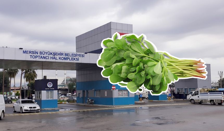 Mersin Hali’nde 30 TL, marketlerde 140 TL