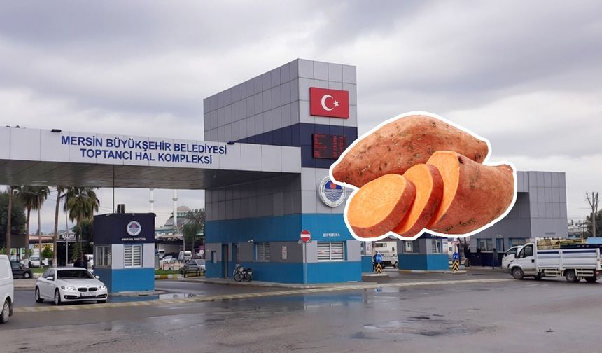 Mersin Hali’nde ithal tatlı patatesin kilosu 125 TL