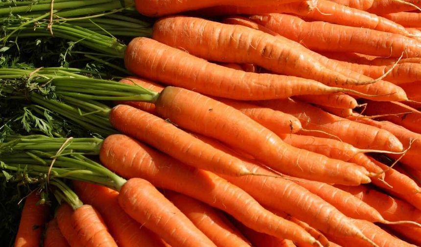 Mersin Hali’nde havucun kilosu 180 TL