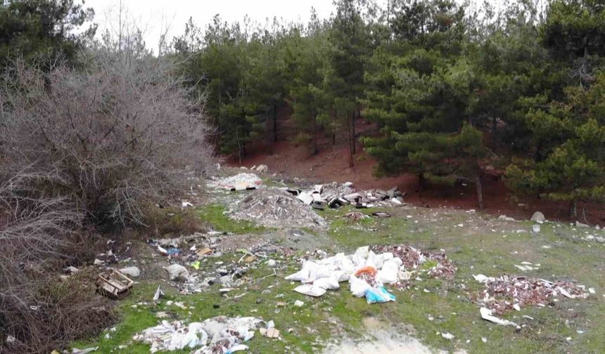 Amasya'da orman çöplüğe dönüştü: 'Bu toprakları piyangodan kazanmadık'