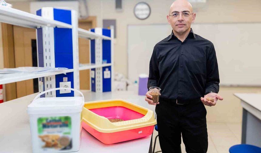 Ceviz kabuğundan kedi kumu üretti