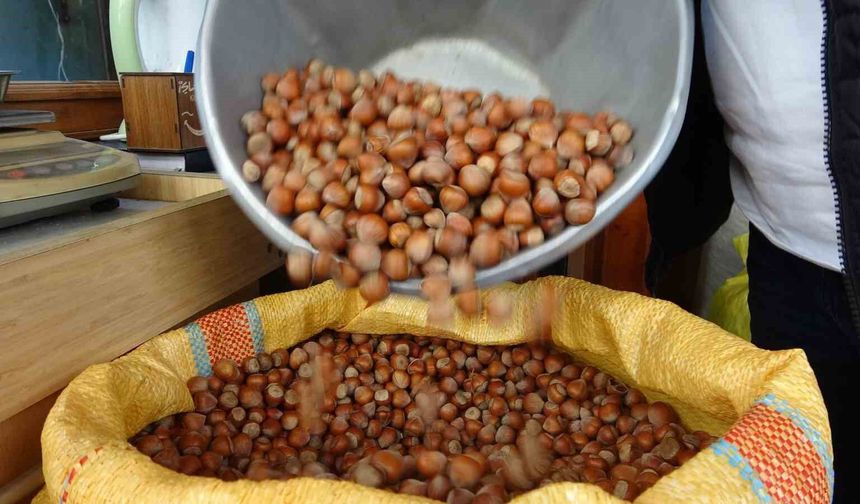 Düzce'den iki ayda bin 837 ton fındık ihraç edildi