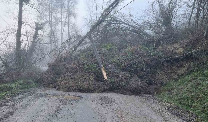 Heyelan köy yolunu ulaşıma kapattı