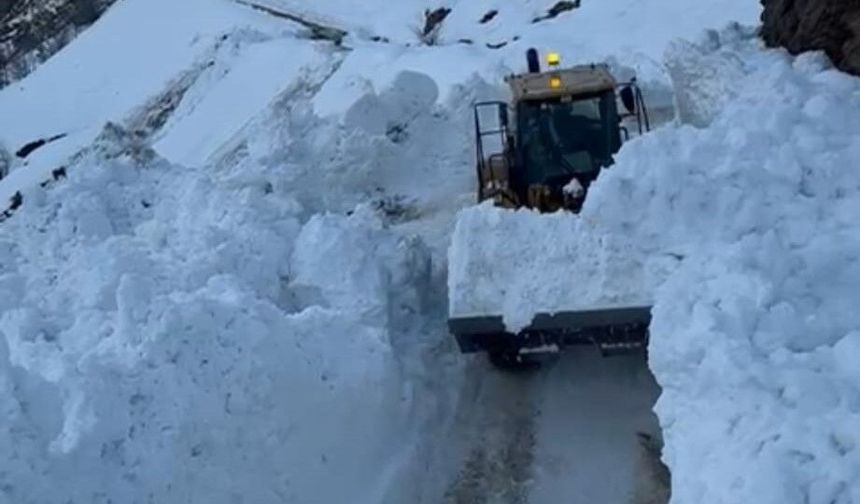 Hizan'da köy yoluna çığ düştü