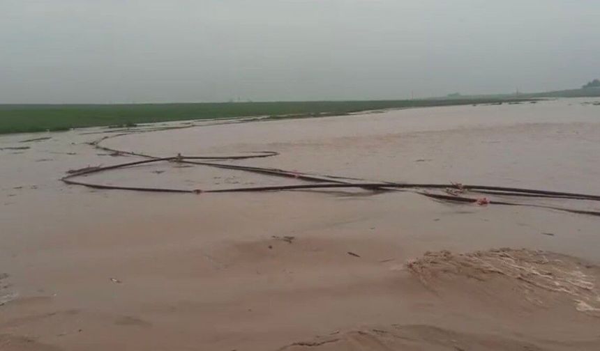 Mardin'de sağanak hayatı felç etti: Dereler taştı, ahır çöktü