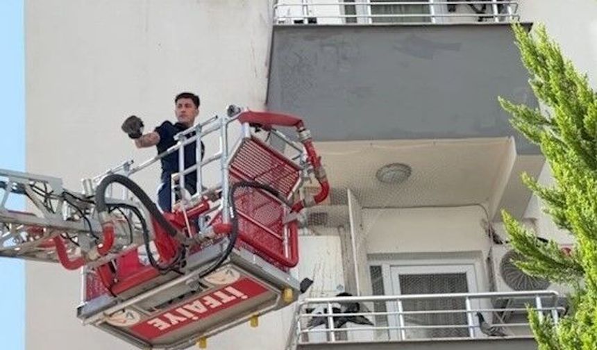 Mersin'de balkon filesine takılan güvercini itfaiye kurtardı